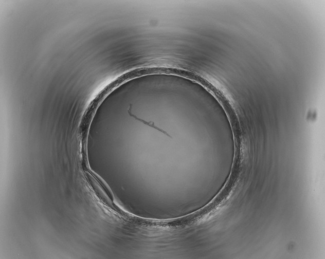 X0000094220925200711021136