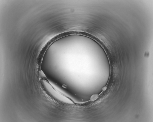 X0000094220926200711021136