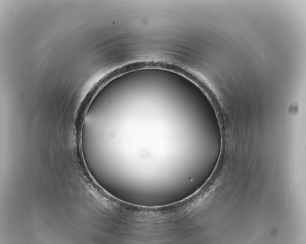 X0000094220927200711021136