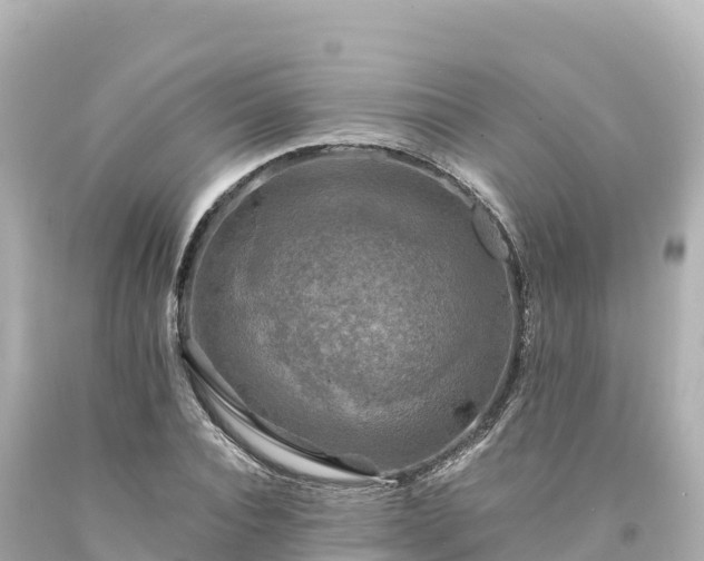 X0000094220928200711021136