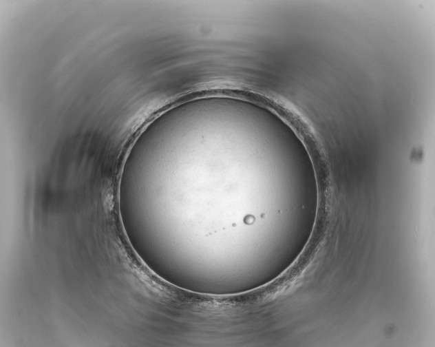 X0000094220929200711021136