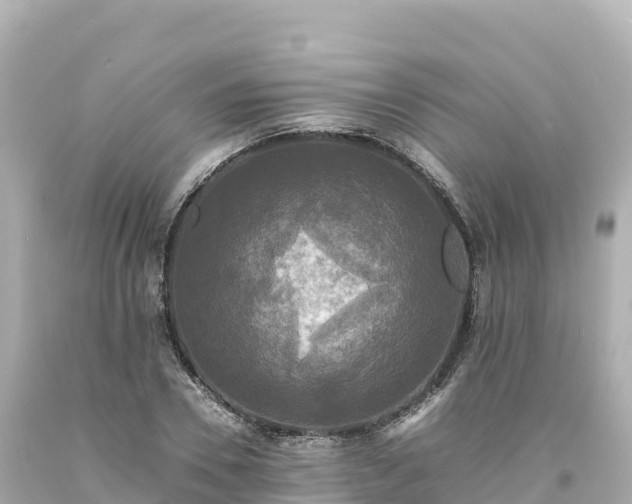 X0000094220930200711021136