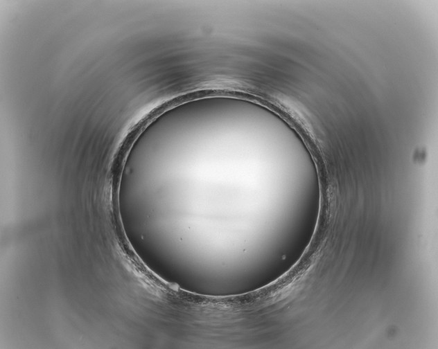 X0000094220931200711021136