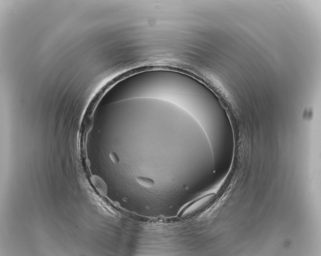 X0000094220932200711021136