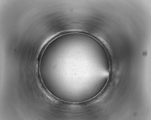 X0000094220933200711021136