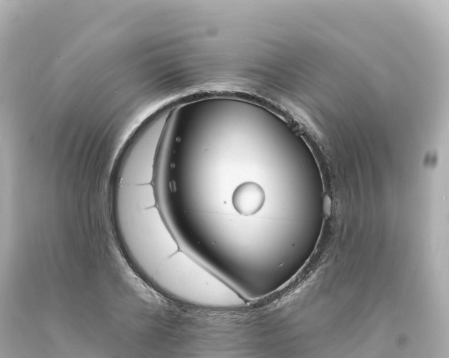 X0000094220934200711021136