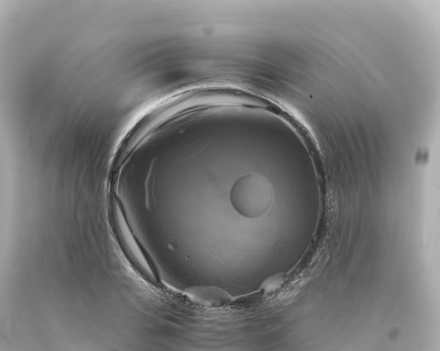 X0000094220935200711021136