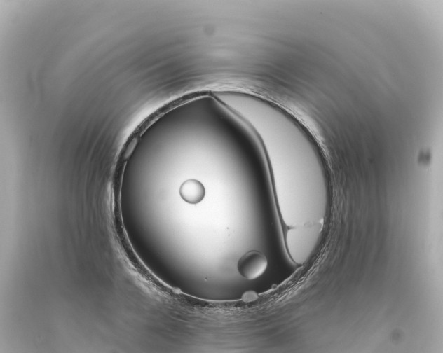 X0000094220936200711021136