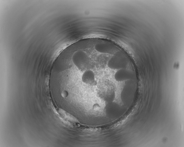 X0000094220937200711021136