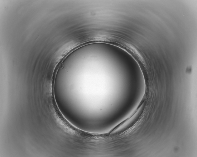 X0000094220938200711021136