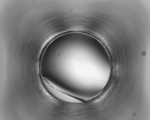 X0000094220939200711021136