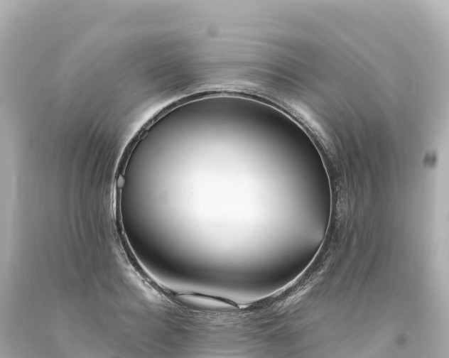 X0000094220940200711021136