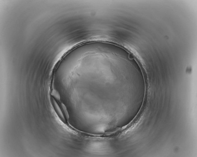 X0000094220941200711021136