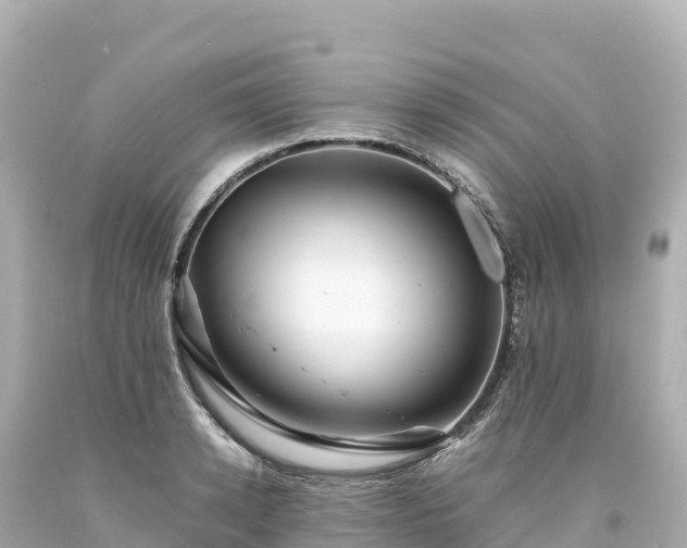 X0000094220942200711021136