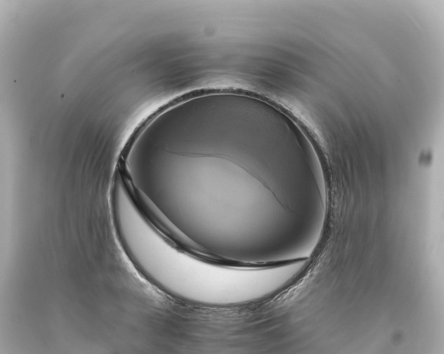 X0000094220943200711021136