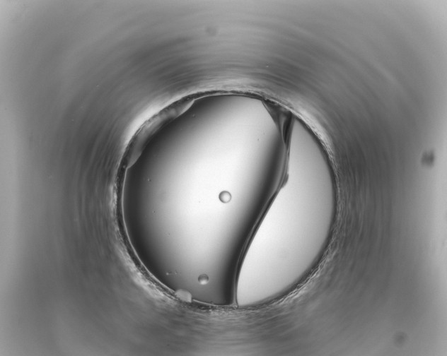 X0000094220944200711021136