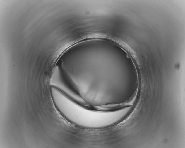 X0000094220945200711021136