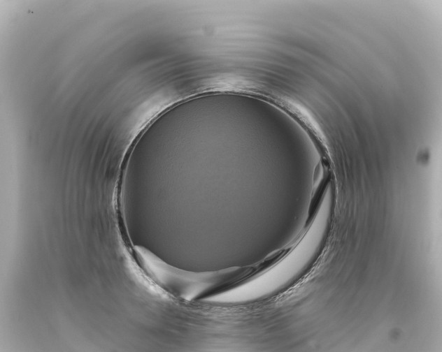 X0000094220946200711021136