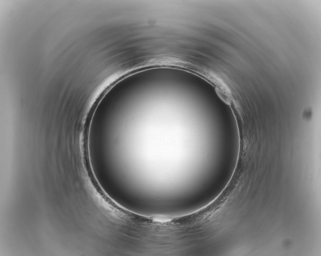 X0000094220947200711021136