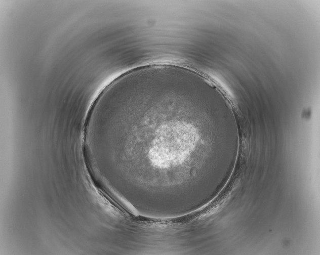 X0000094220948200711021136