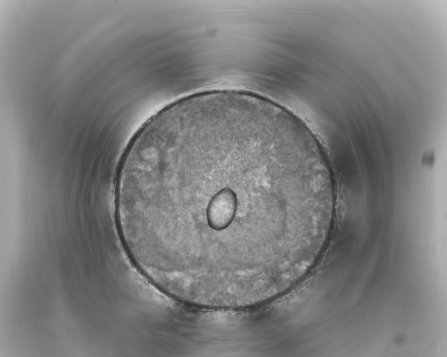 X0000094220950200711021136