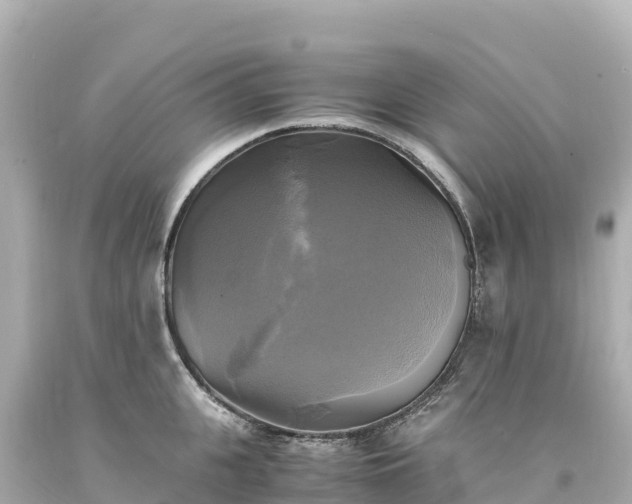 X0000094220951200711021136