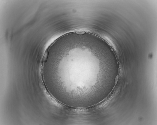 X0000094220952200711021136