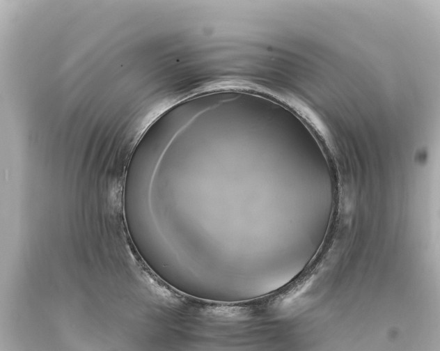 X0000094220953200711021136