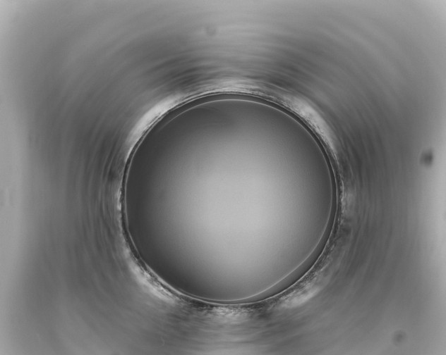 X0000094220954200711021136