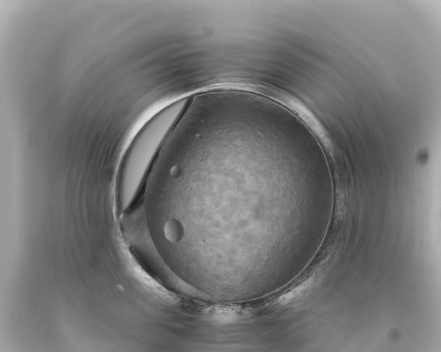 X0000094220955200711021136