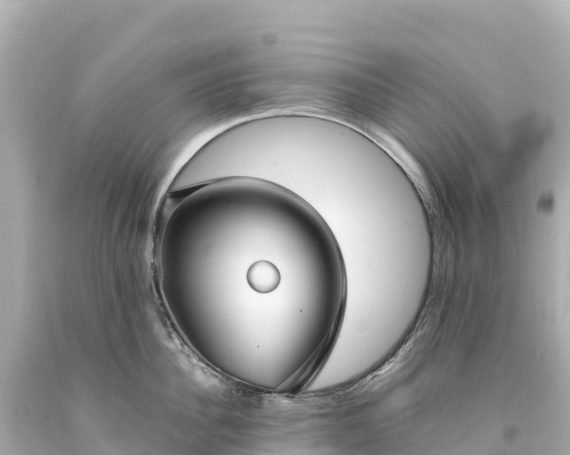 X0000094220956200711021136