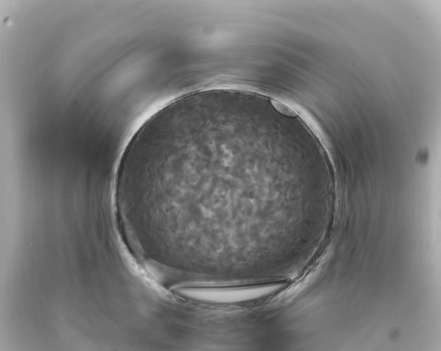 X0000094220957200711021136