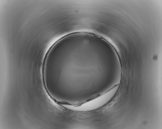 X0000094220959200711021136