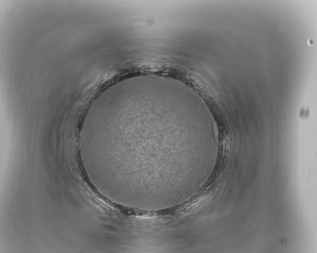 X0000094220961200711021136