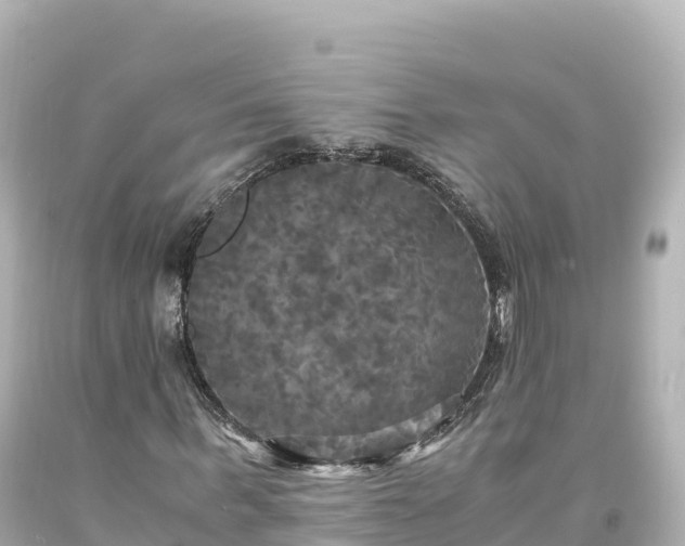 X0000094220963200711021136