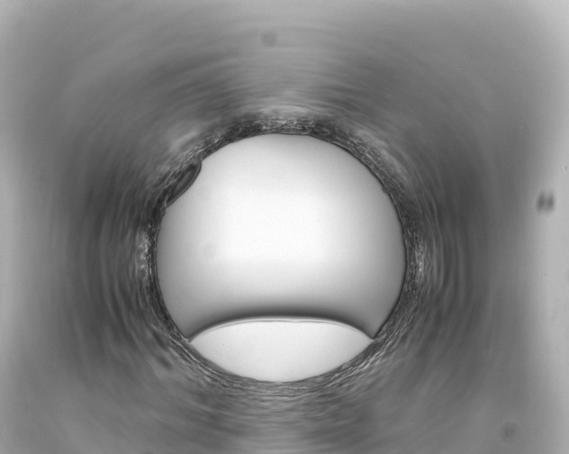 X0000094220964200711021135