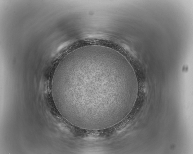 X0000094220965200711021135