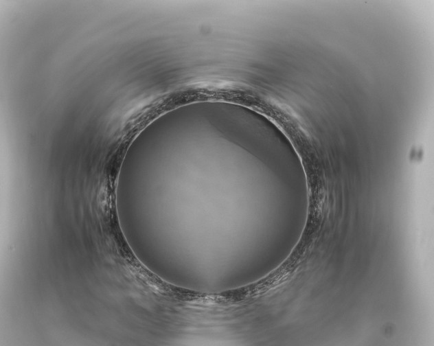 X0000094220966200711021135