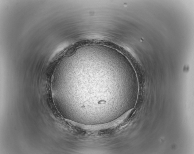 X0000094220967200711021135