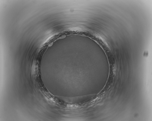 X0000094220968200711021135