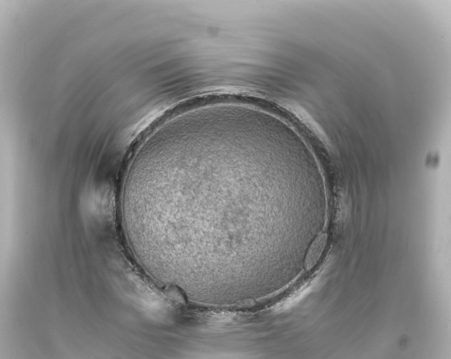 X0000094220969200711021135