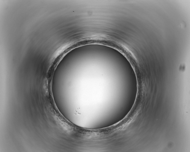 X0000094220970200711021135