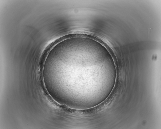 X0000094220971200711021135