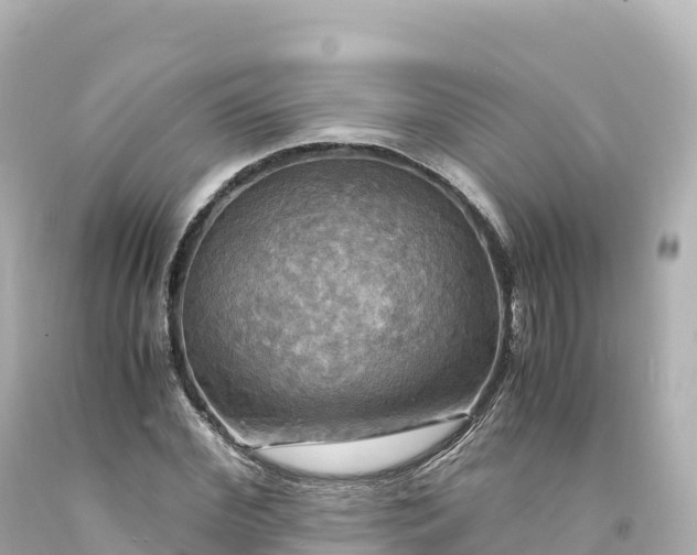 X0000094220972200711021135