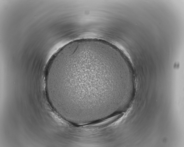 X0000094220973200711021135