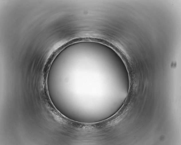 X0000094220974200711021135