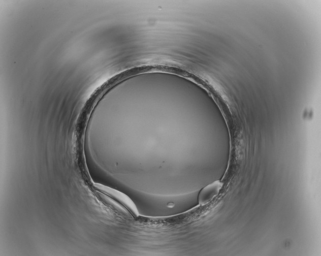 X0000094220975200711021135