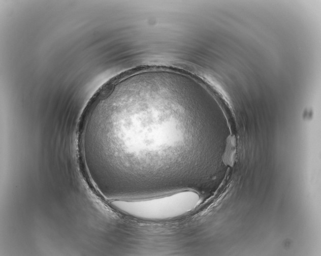 X0000094220976200711021135