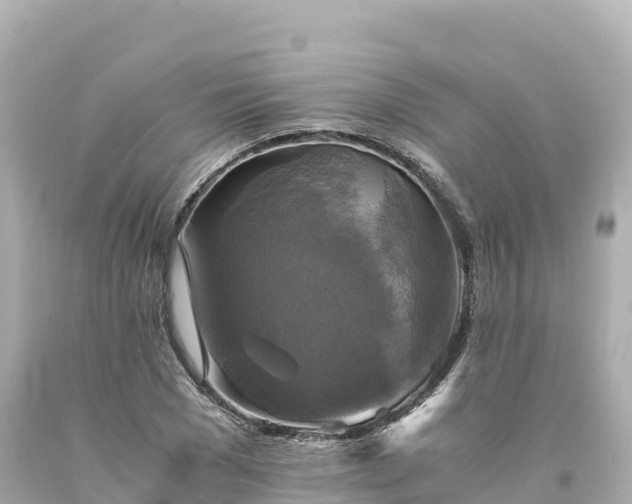 X0000094220977200711021135