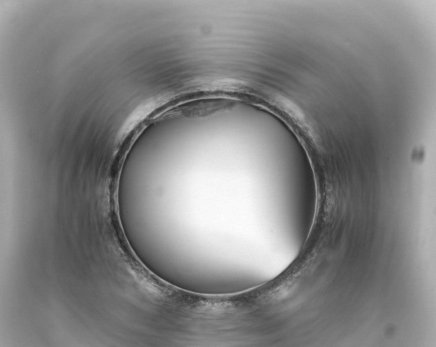 X0000094220978200711021135